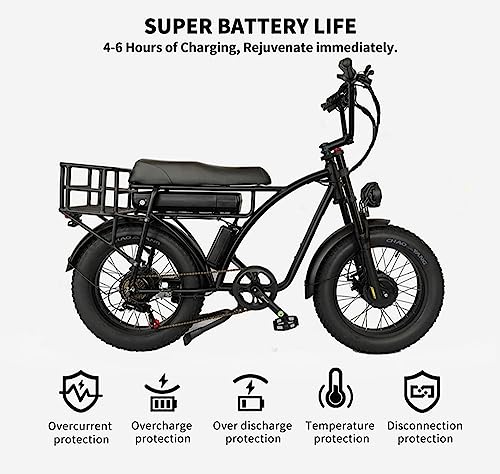 Electric Retro Cargo Bicycle 2000W Dual Motor 48V 18Ah 20" Fat Tire 7 Speed Ebike Y7092