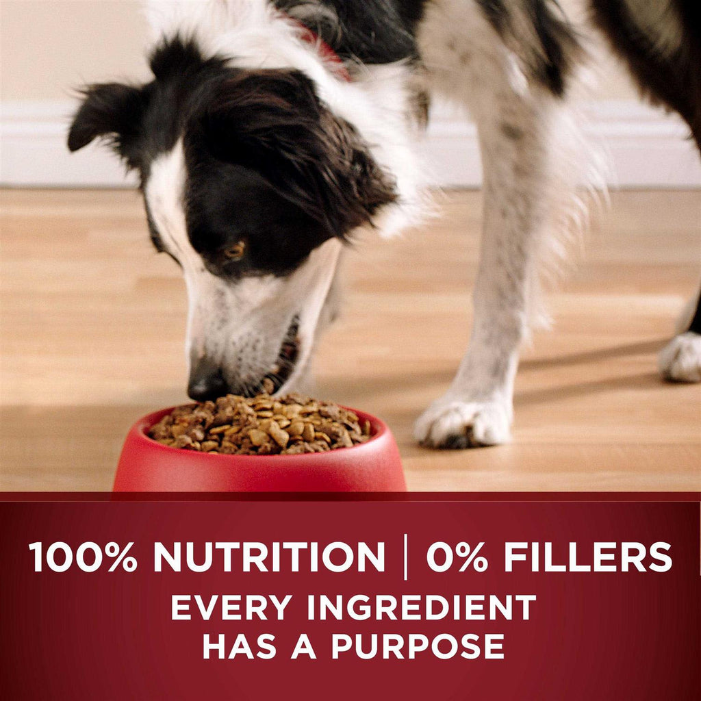 Grain Free Natural Dry Dog Food U773008
