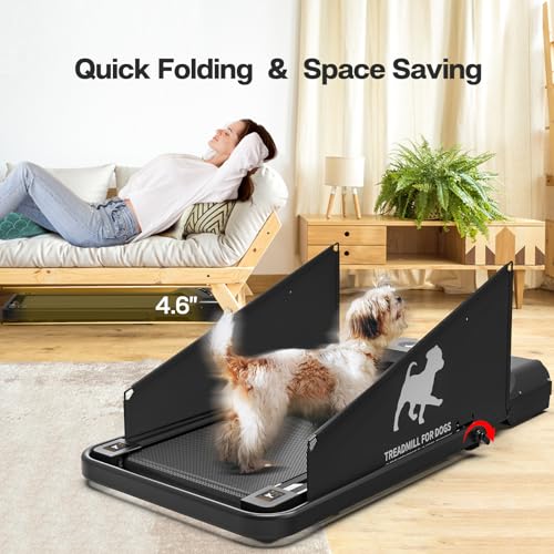 Dog Treadmill, Exercise Equipment, Up to 220lbs, Low Noise Z275736