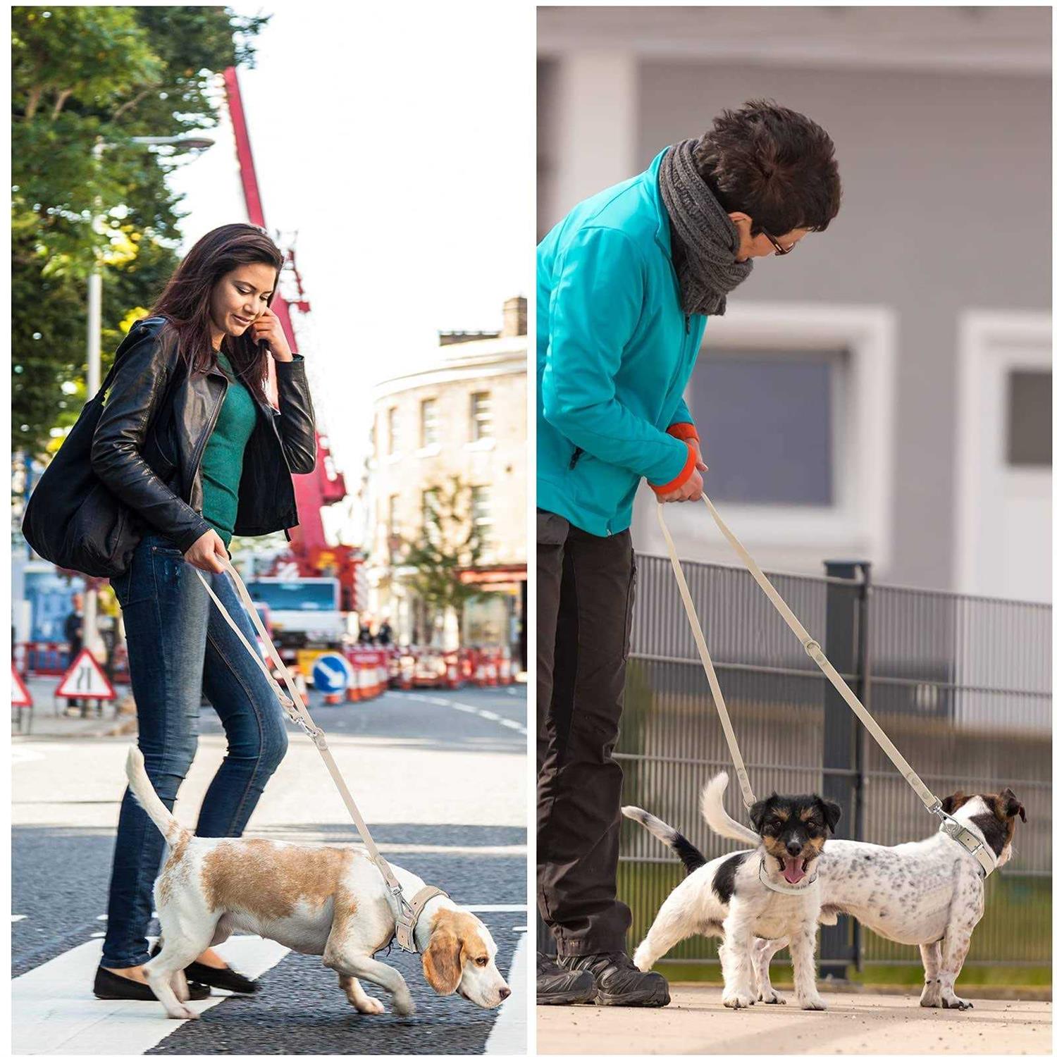 Waterproof Dog Leash with 2 Hooks, Adjustable Lengths A55633