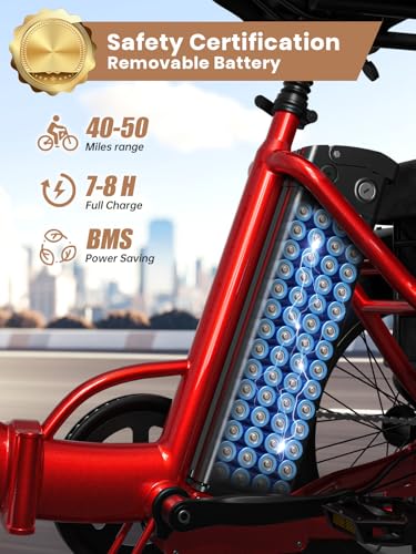 Electric Trike 20" Fat Tire 3 Wheel Folding Electric Tricycle O1163