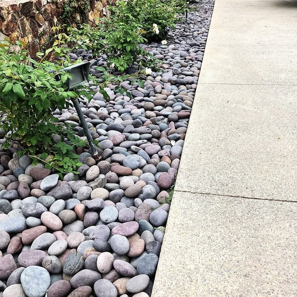Mexican Beach Pebbles 40 lbs Smooth Round Stones W23177