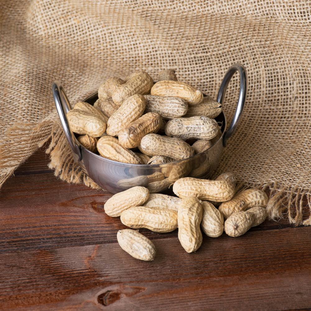 25 lb. Roasted Unsalted In-Shell Peanuts P741881