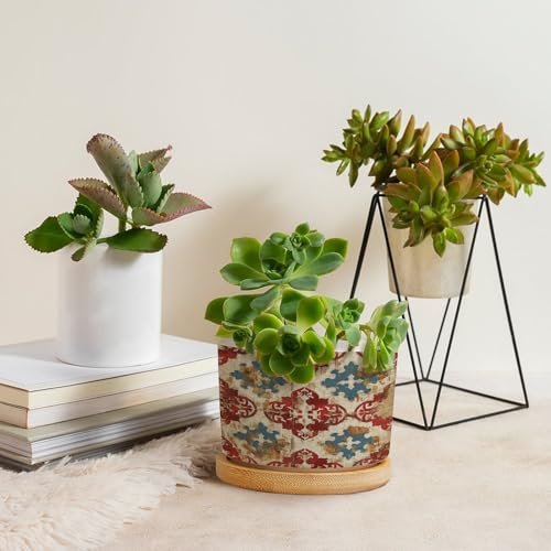 Blue And White Porcelain Ceramic Round Plant Pot with Drainage Holes And Bamboo Tray V316411