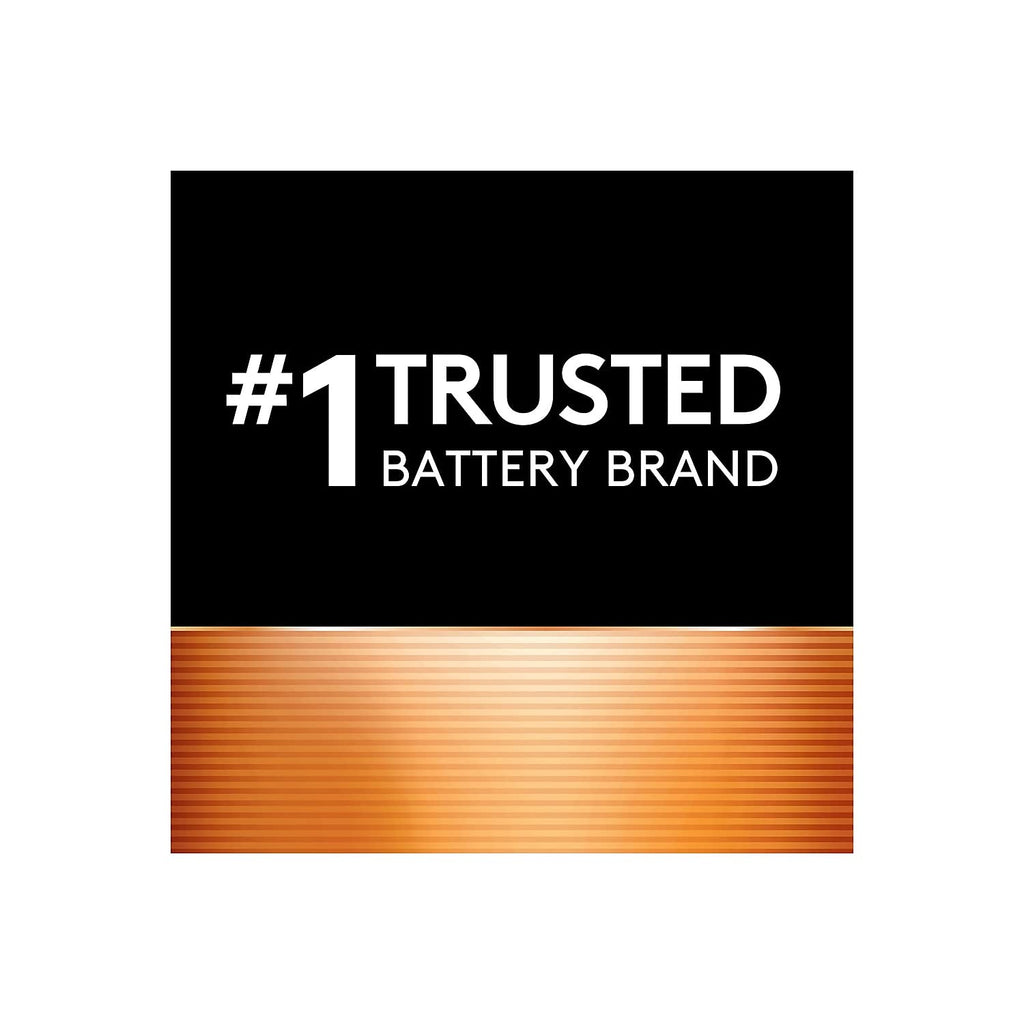 AA Alkaline Batteries 24/Pack V955