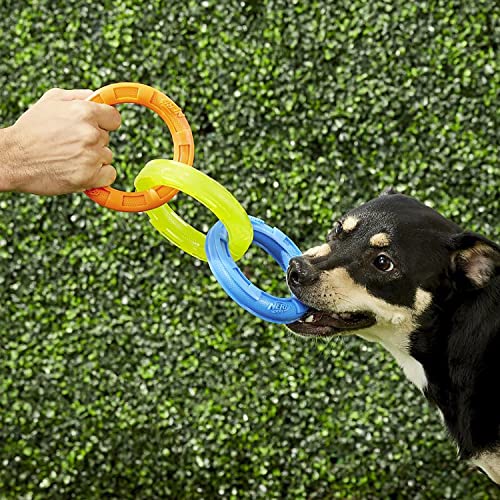 10.5in Rubber 3-Ring Tug Dog Toy, Blue/Green/Orange W14261