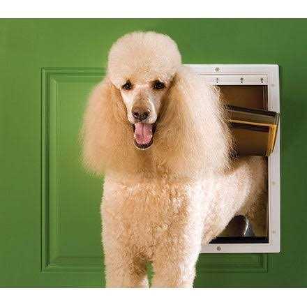 Extreme Weather Pet Door V51874
