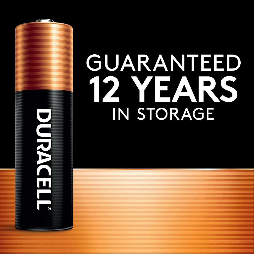 AA Alkaline Batteries 24/Pack V955