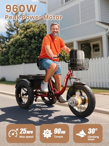 Electric Trike 20" Fat Tire 3 Wheel Folding Electric Tricycle O1163