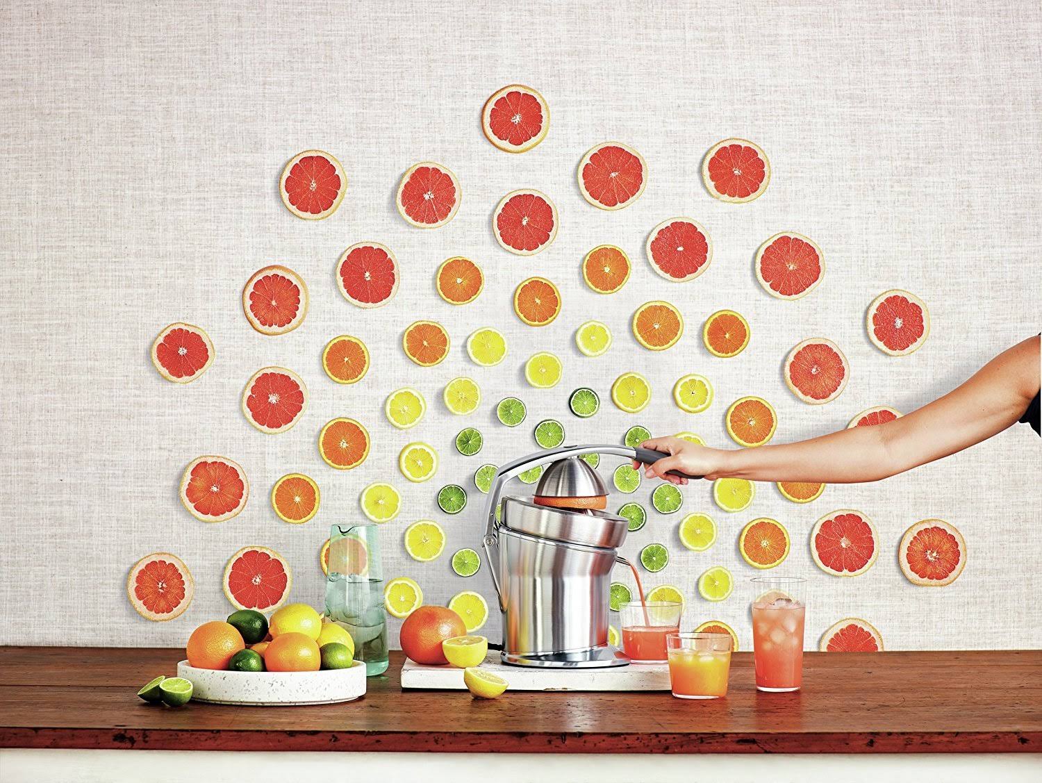 Die-Cast Stainless-Steel Motorized Citrus Press S73252