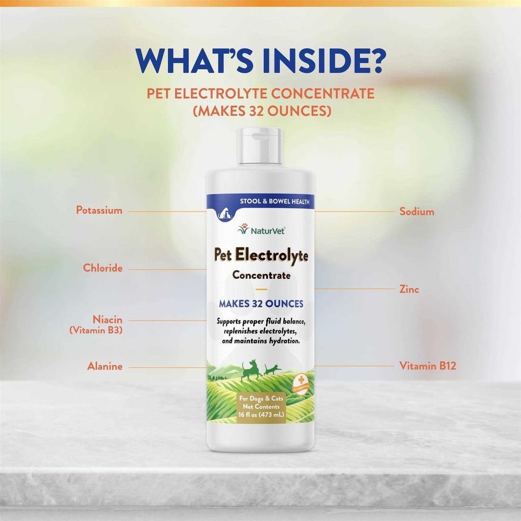 16 oz Pet Electrolyte Concentrate U287677