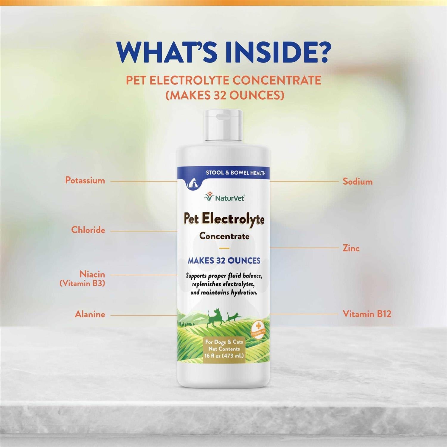 16 oz Pet Electrolyte Concentrate U287677