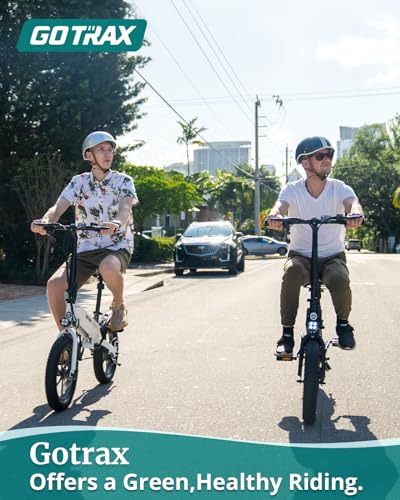 16x3.0 Fat Tire Folding Electric Bike with Removable Battery R938