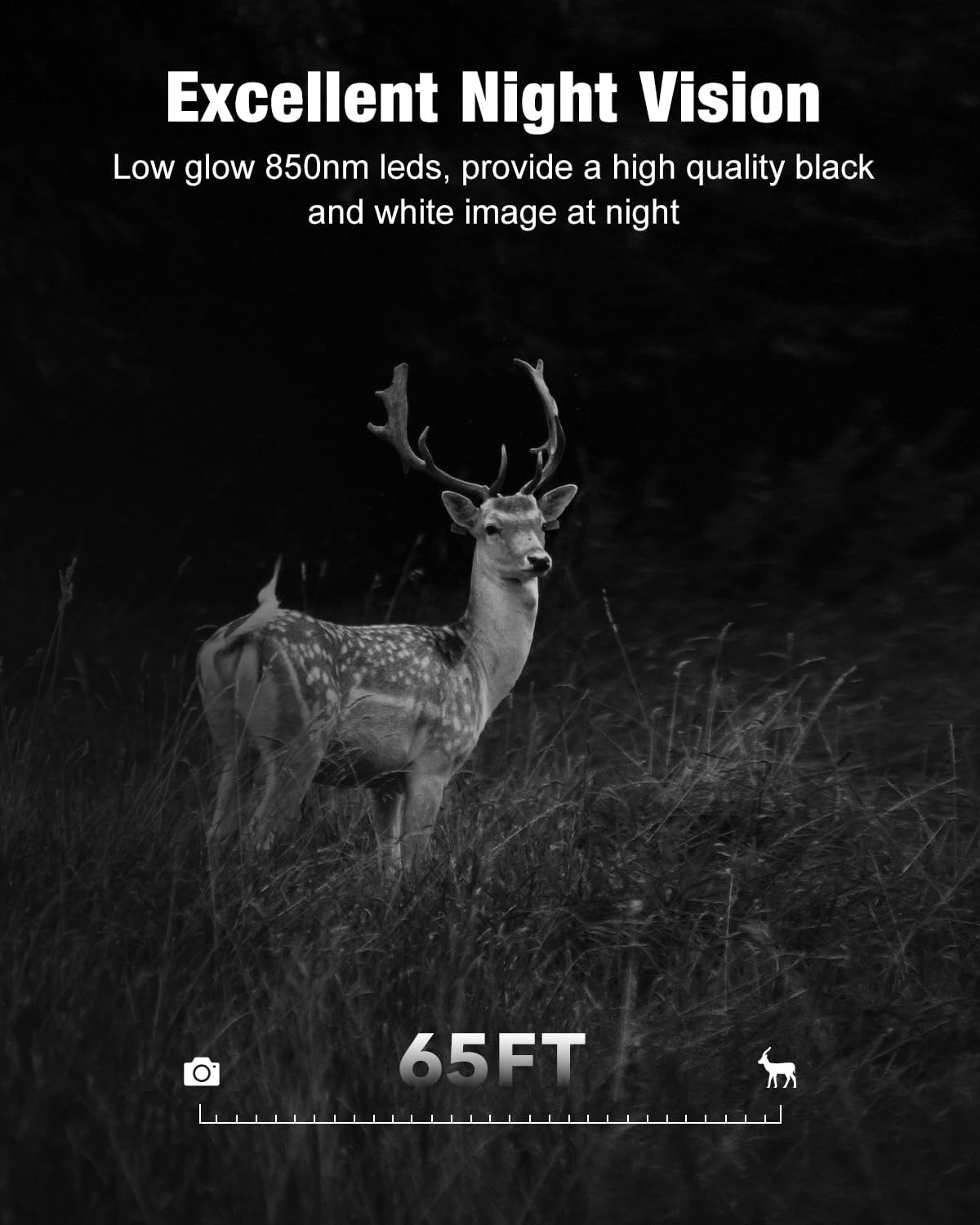 4G LTE Cellular Trail Camera with Solar Power G225567