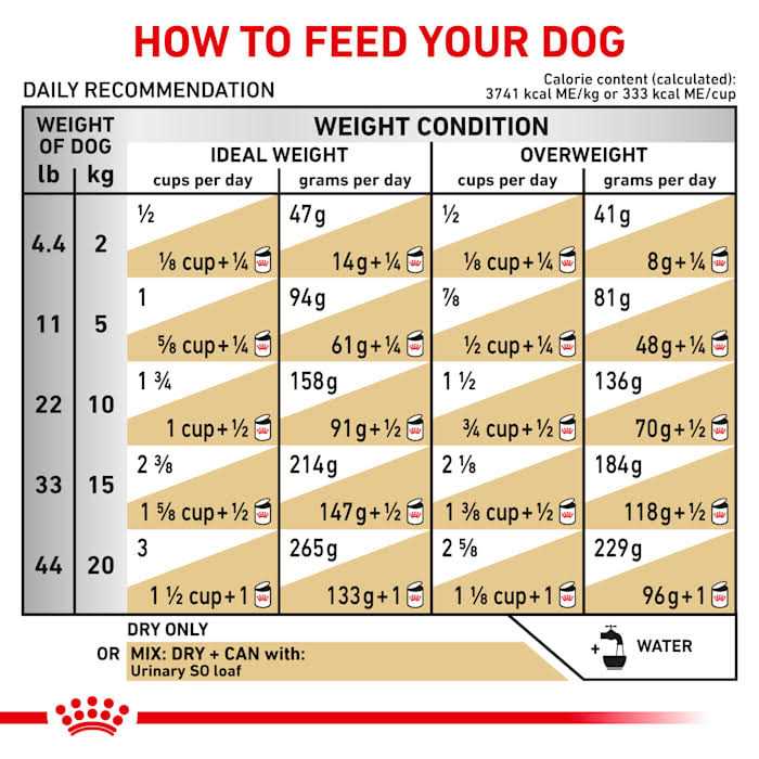 Veterinary Diet Canine Urinary SO Dry Dog Food S2041