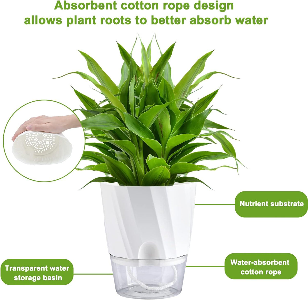 6 Pack Self Watering White Plant Pots Q424255