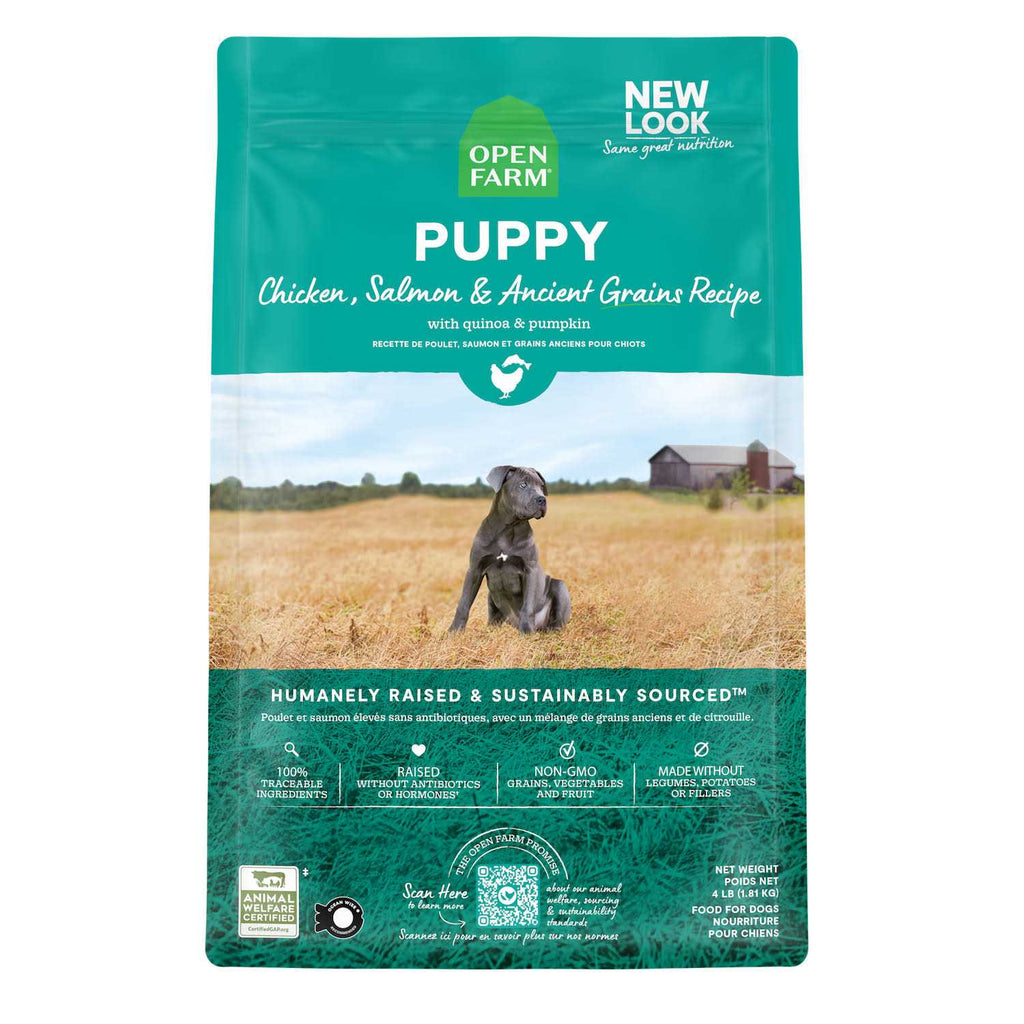 Pasture Raised Lamb Ancient Grains Dry Dog Food M369084