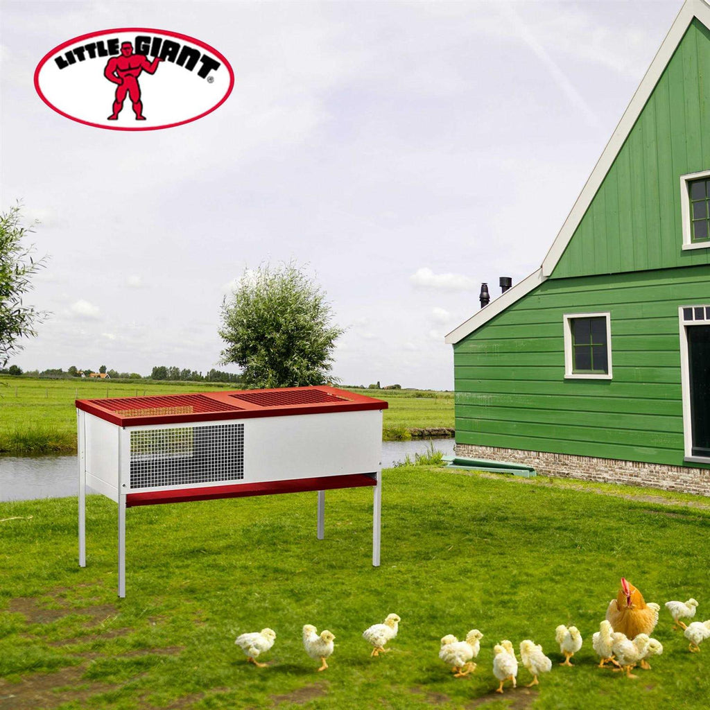 Galvanized Chick Brooder Box A3908
