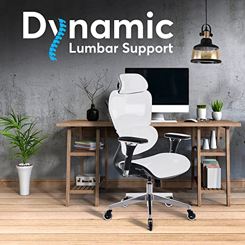 Ergonomic Office Chair with 4D Adjustable Armrest, Mesh (Black) Z68479
