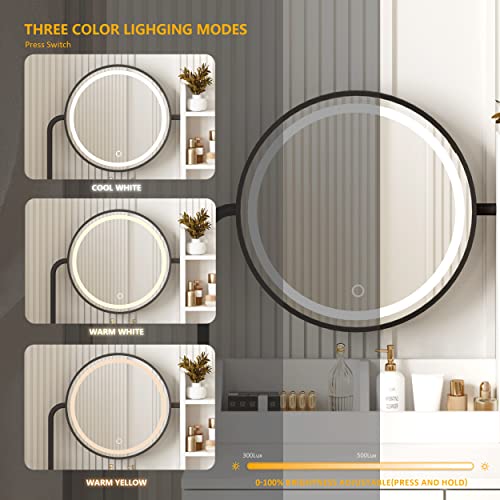 White Vanity Desk with Round Mirror and Lights and Hair Dryer Rack (Brown and Black, 15.75 * 31.5 * 53.6in) S917713
