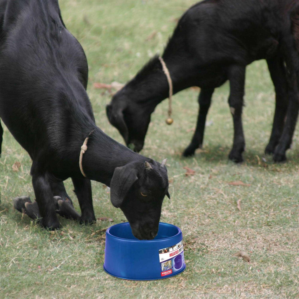 6 Qt. Round Heated Plastic Pet Bowl H225
