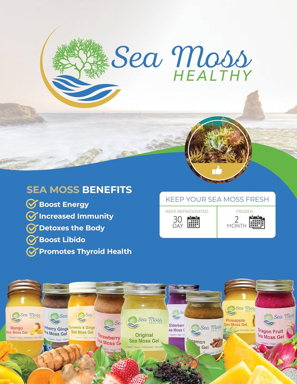 Blue Spirulina Blueberry Sea Moss Gel, 16 oz J657023