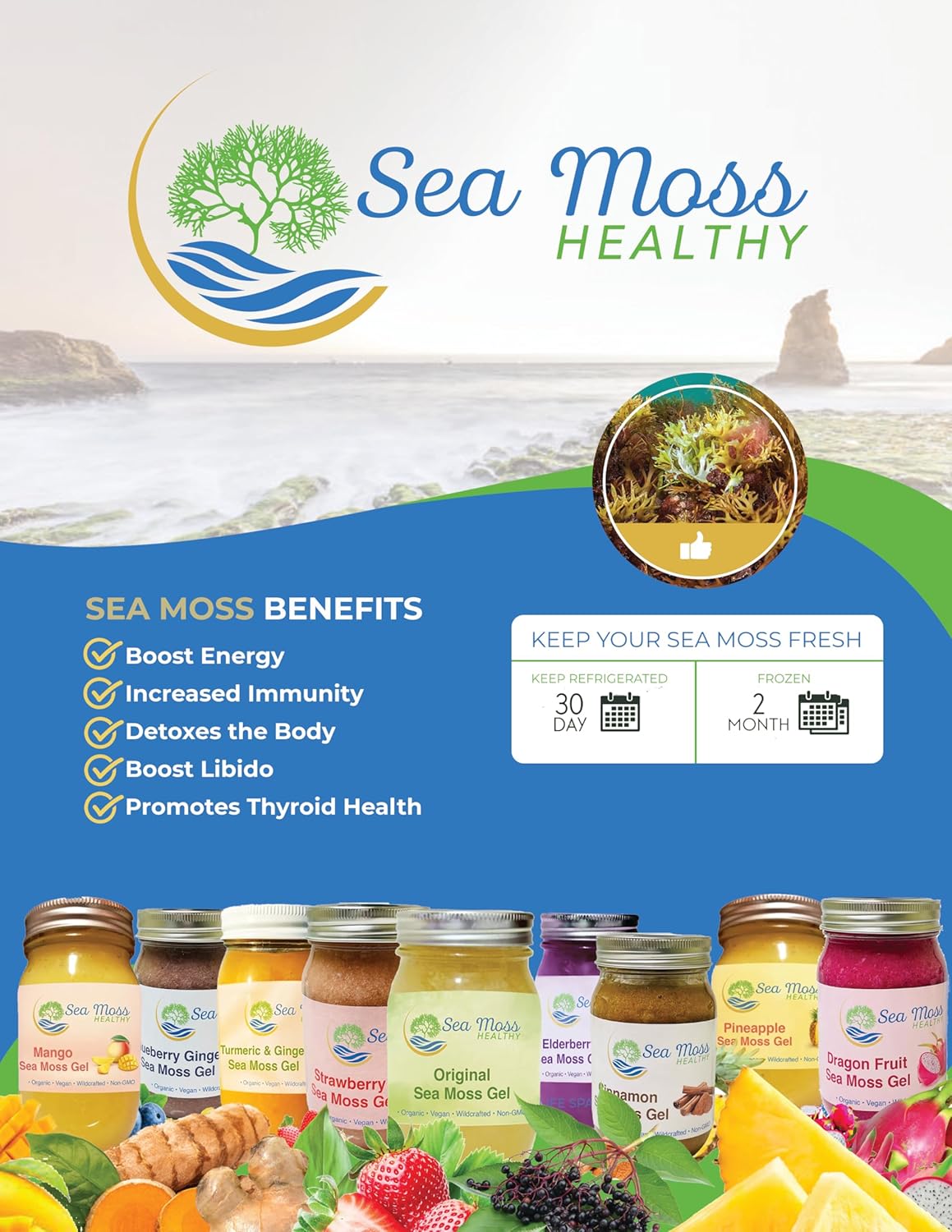 Blue Spirulina Blueberry Sea Moss Gel, 16 oz J657023