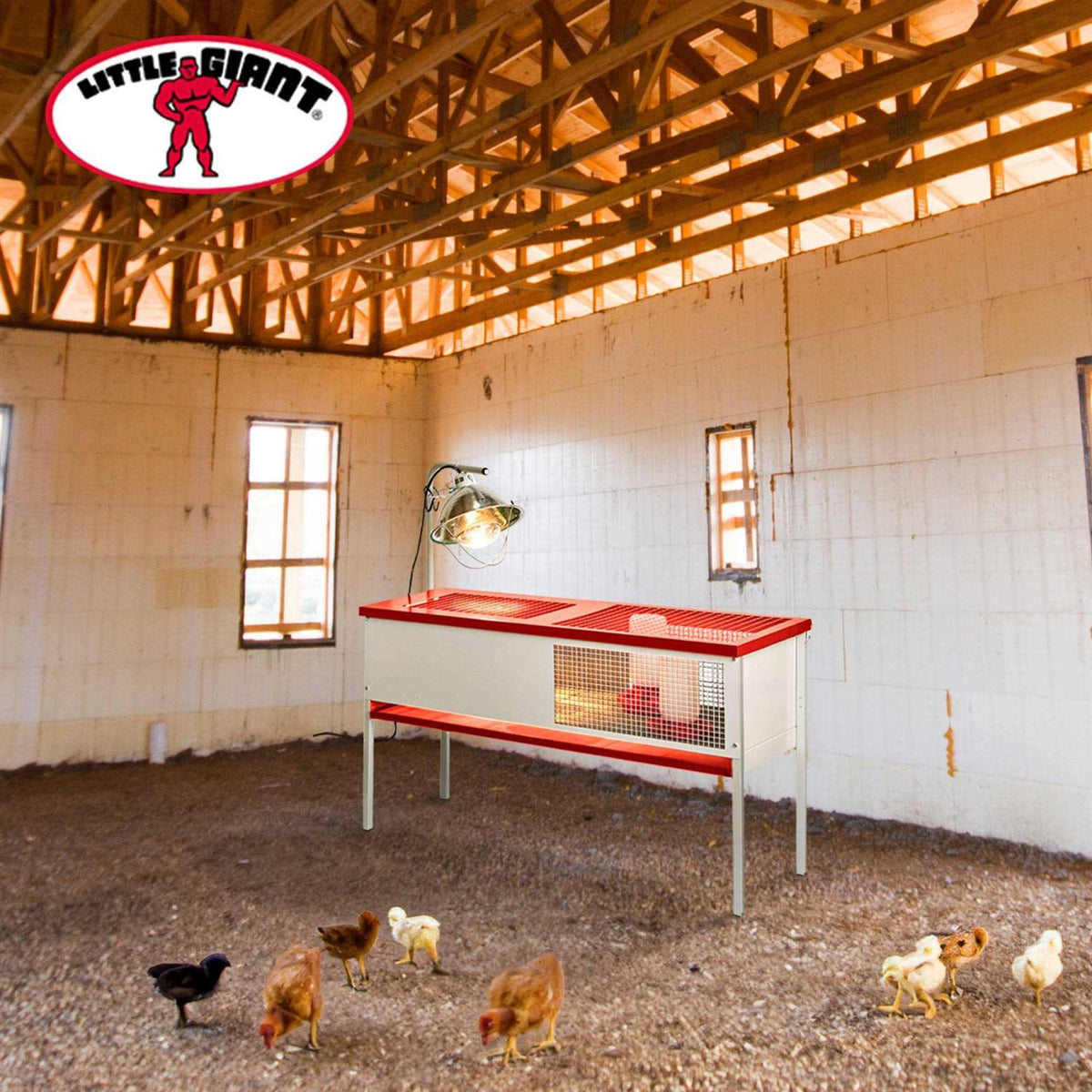 Galvanized Chick Brooder Box A3908
