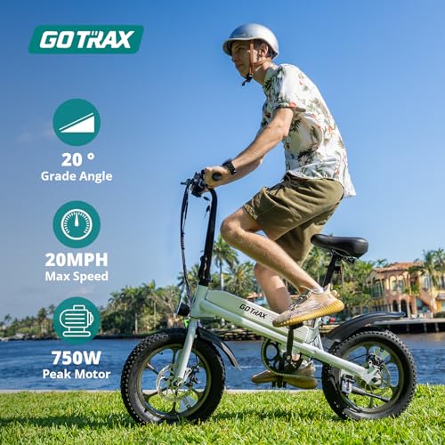 16x3.0 Fat Tire Folding Electric Bike with Removable Battery R938