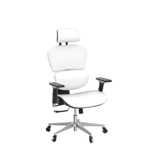 Ergonomic Office Chair with 4D Adjustable Armrest, Mesh (Black) Z68479
