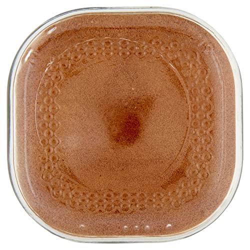 100% Arabica Instant Coffee Jar 100 gm S92809
