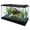 10 Gallon Glass LED Aquarium Kit F936148