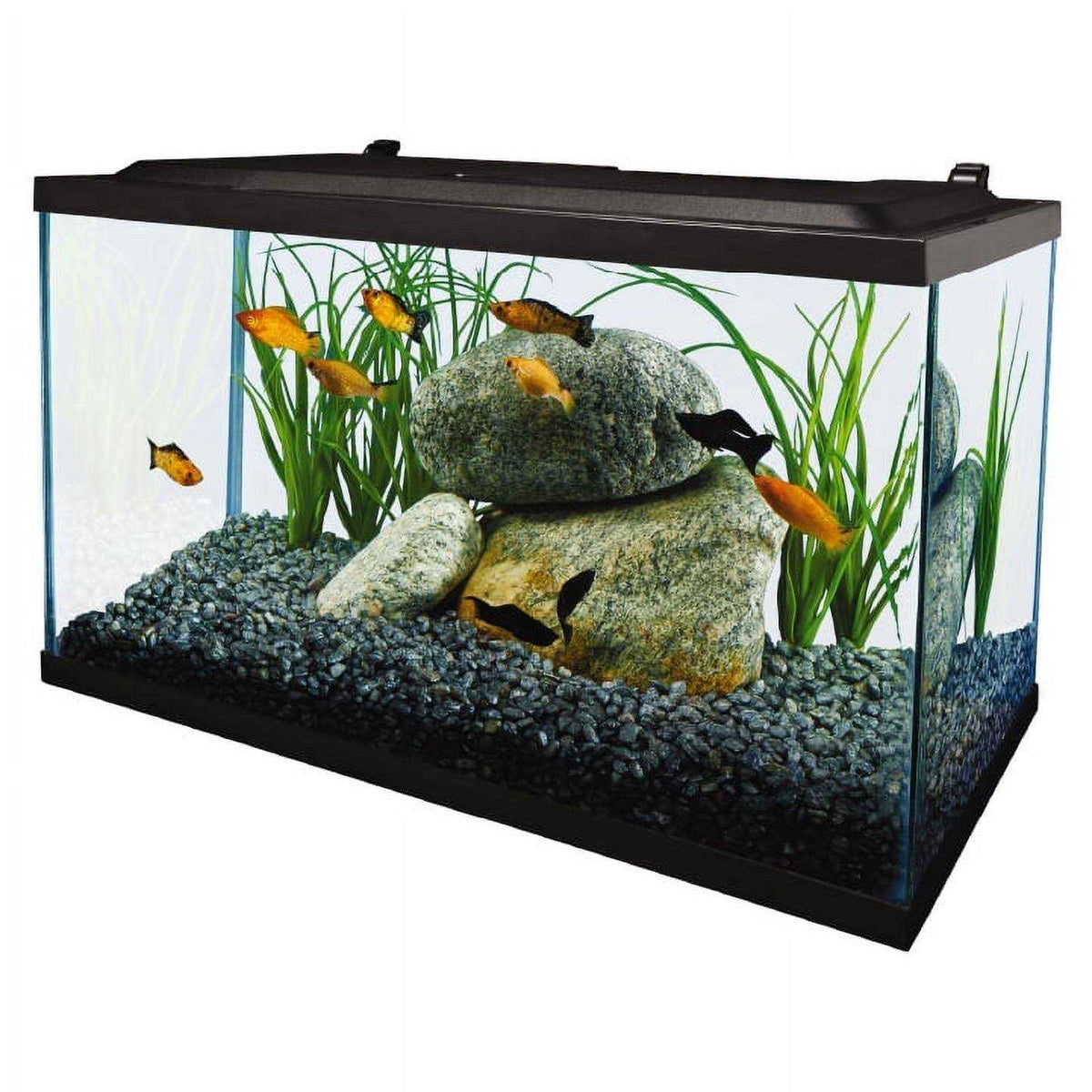 10 Gallon Glass LED Aquarium Kit F936148