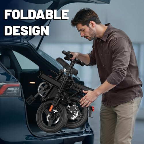 E Bike Electric Bike 500W Motor, Folding Ebike 14" 48V 10Ah Removable Battery W4754