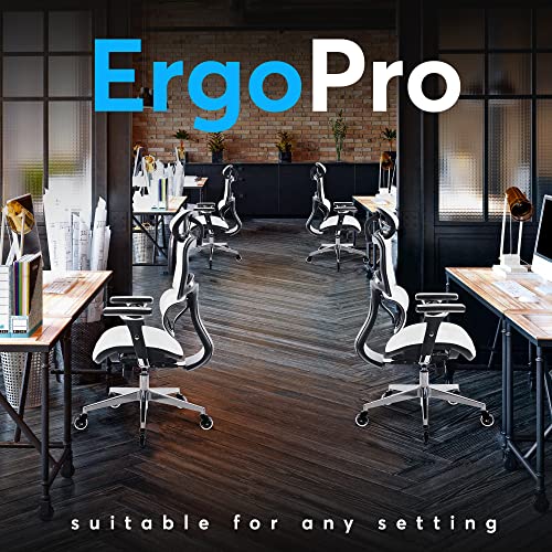 Ergonomic Office Chair with 4D Adjustable Armrest, Mesh (Black) Z68479
