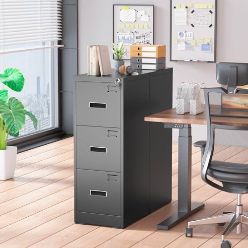 Black 2 Drawer Locking Metal File Cabinet R569000