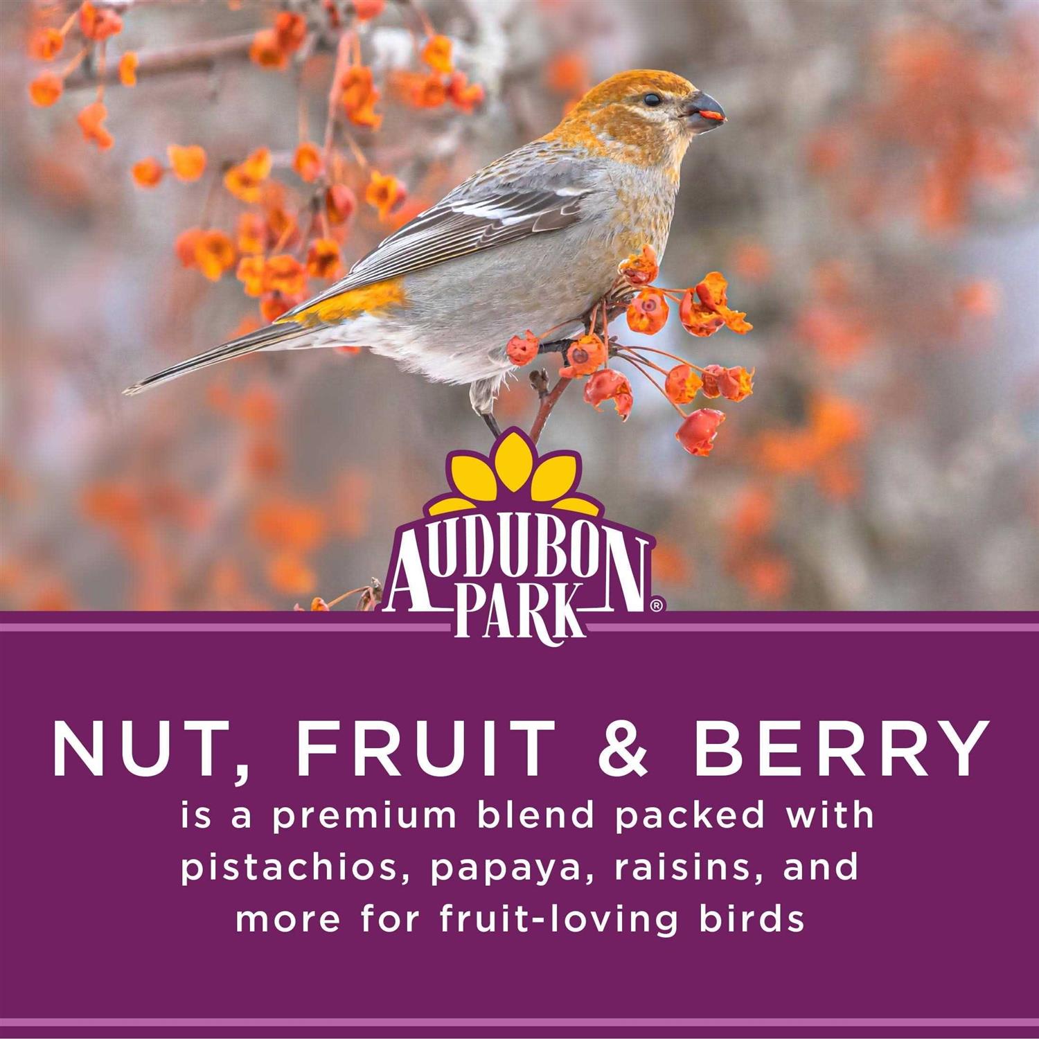 Nut Fruit & Berry Wild Bird Food L847
