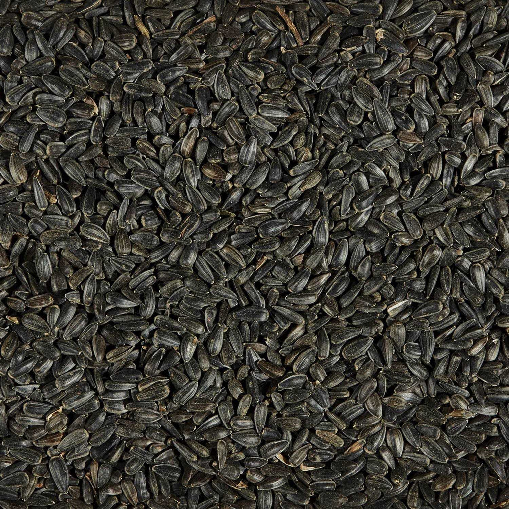 Black Oil Sunflower Seed Wild Bird Food J9380