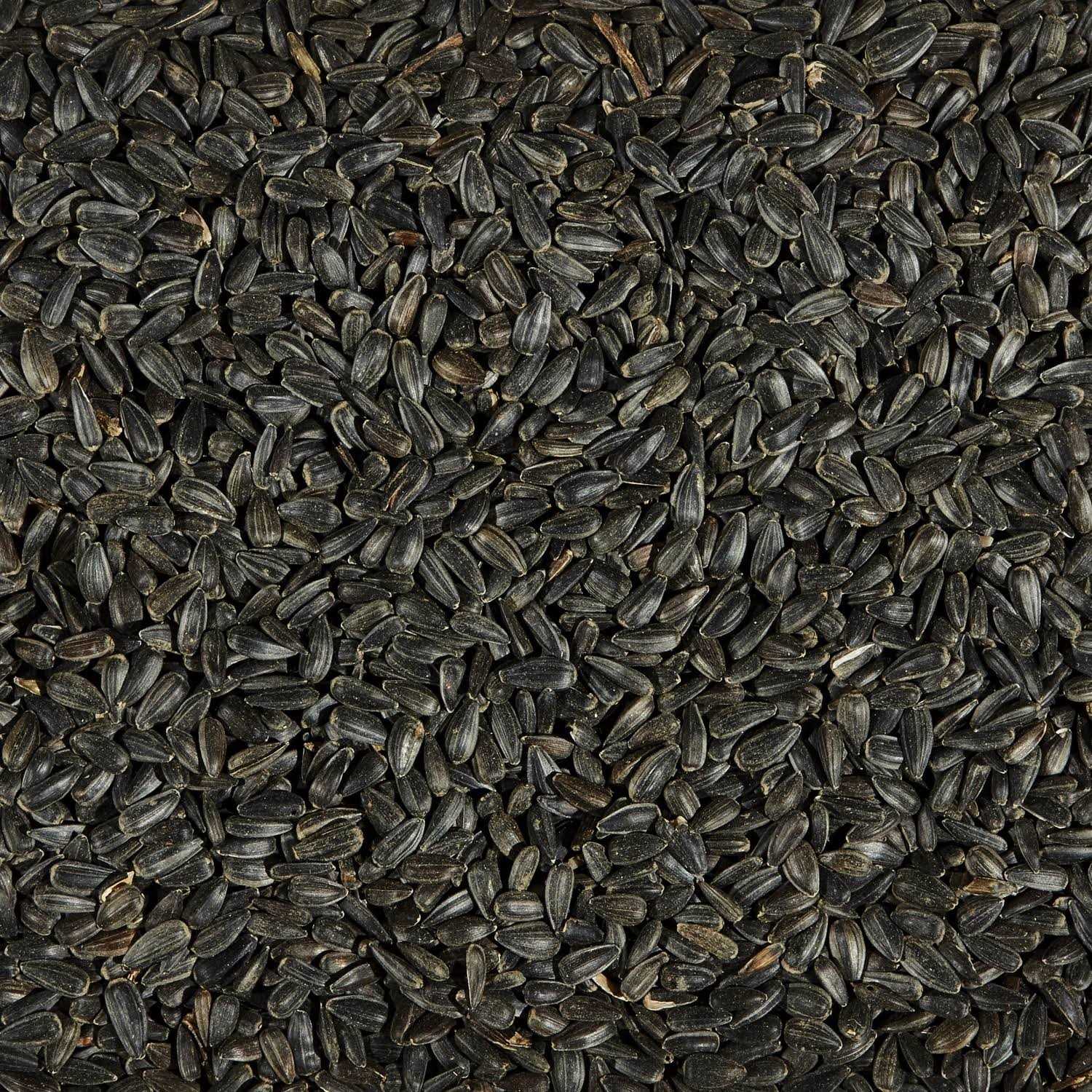 Black Oil Sunflower Seed Wild Bird Food J9380