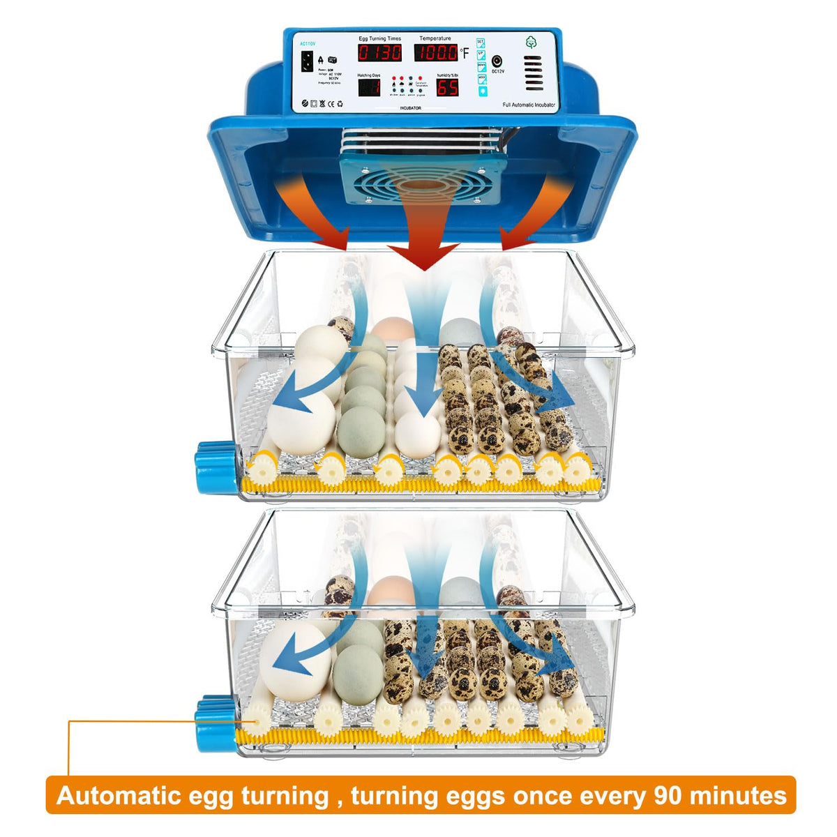 120 Egg Incubator Automatic Temperature Control Humidity Monitoring G213