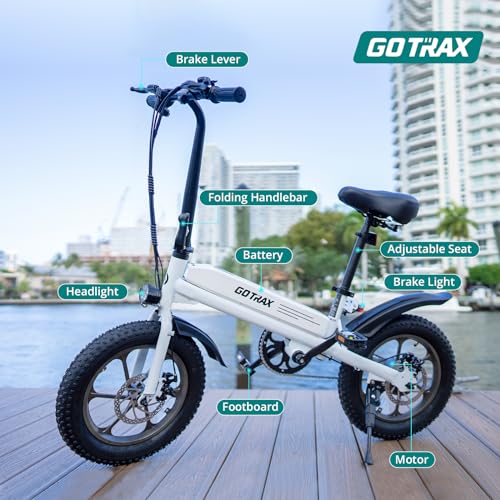 16x3.0 Fat Tire Folding Electric Bike with Removable Battery R938