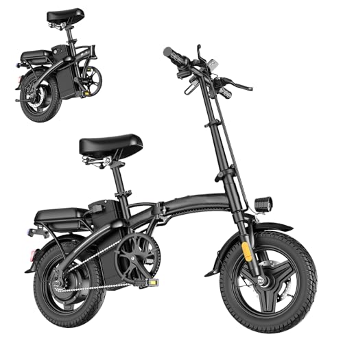 14" Mini Folding Electric Bike with 48V12AH Removable Battery A12484