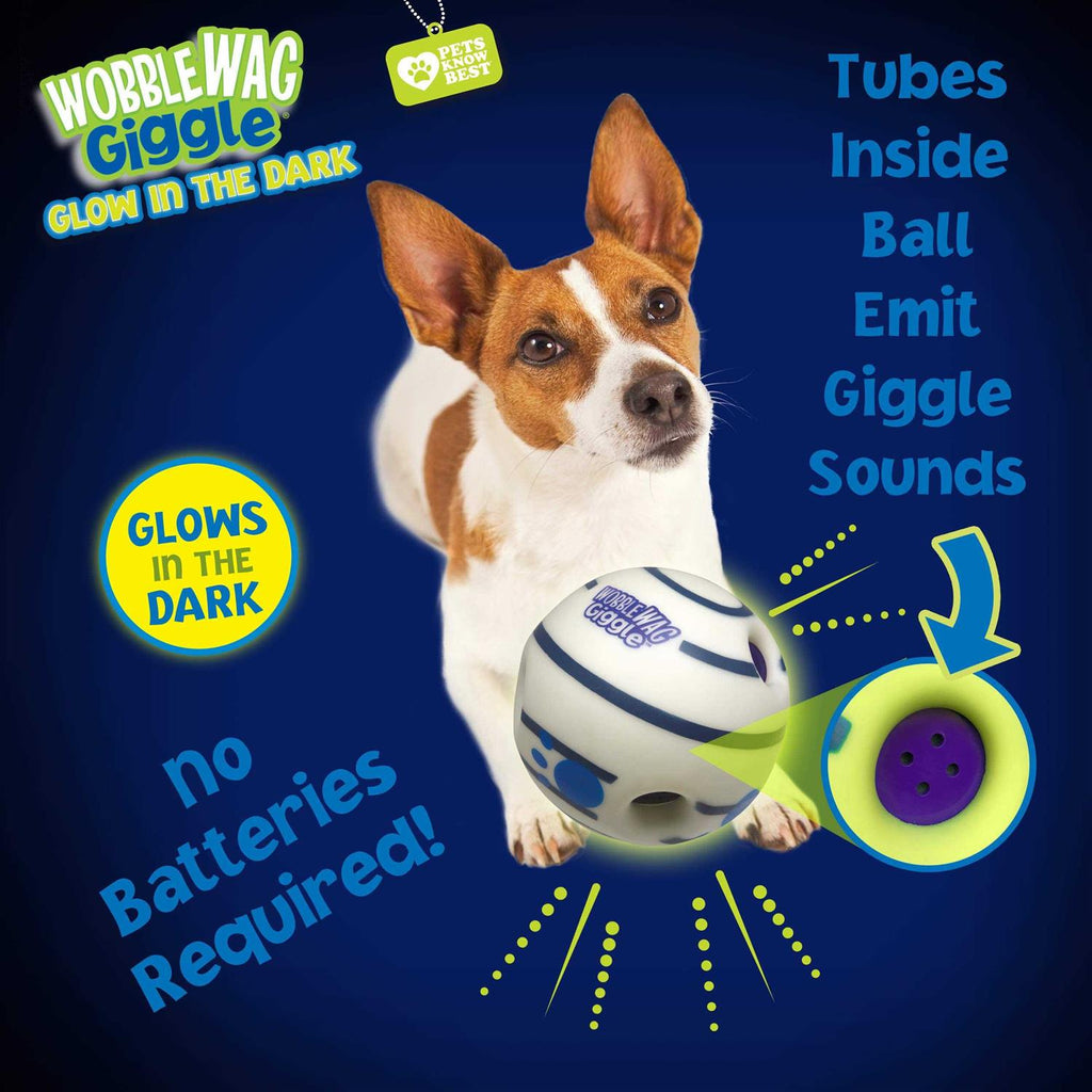 Interactive Dog Toy E7686