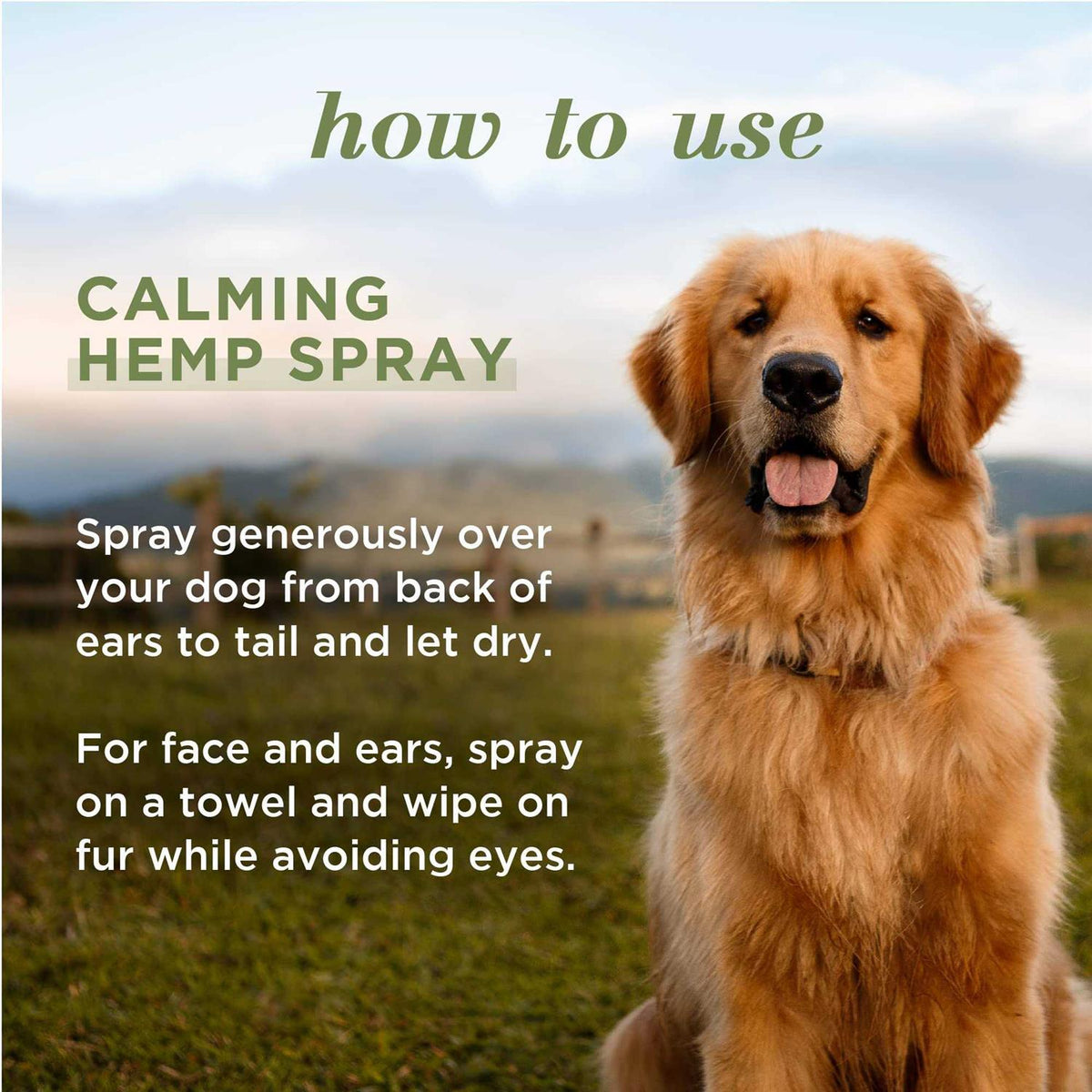 Calming Hemp Dog Spray M845574