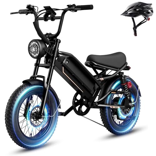 1500W 48V Removable Battery 16'' Fat Tire Full Suspension Electric Bike Q69936