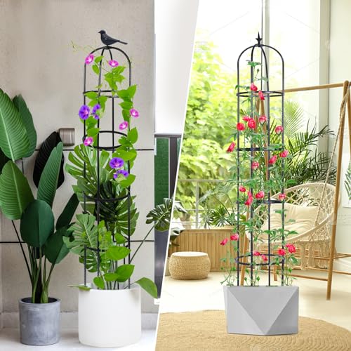 2 Pack 6ft Garden Obelisk Trellis for Climbing Plants W25906