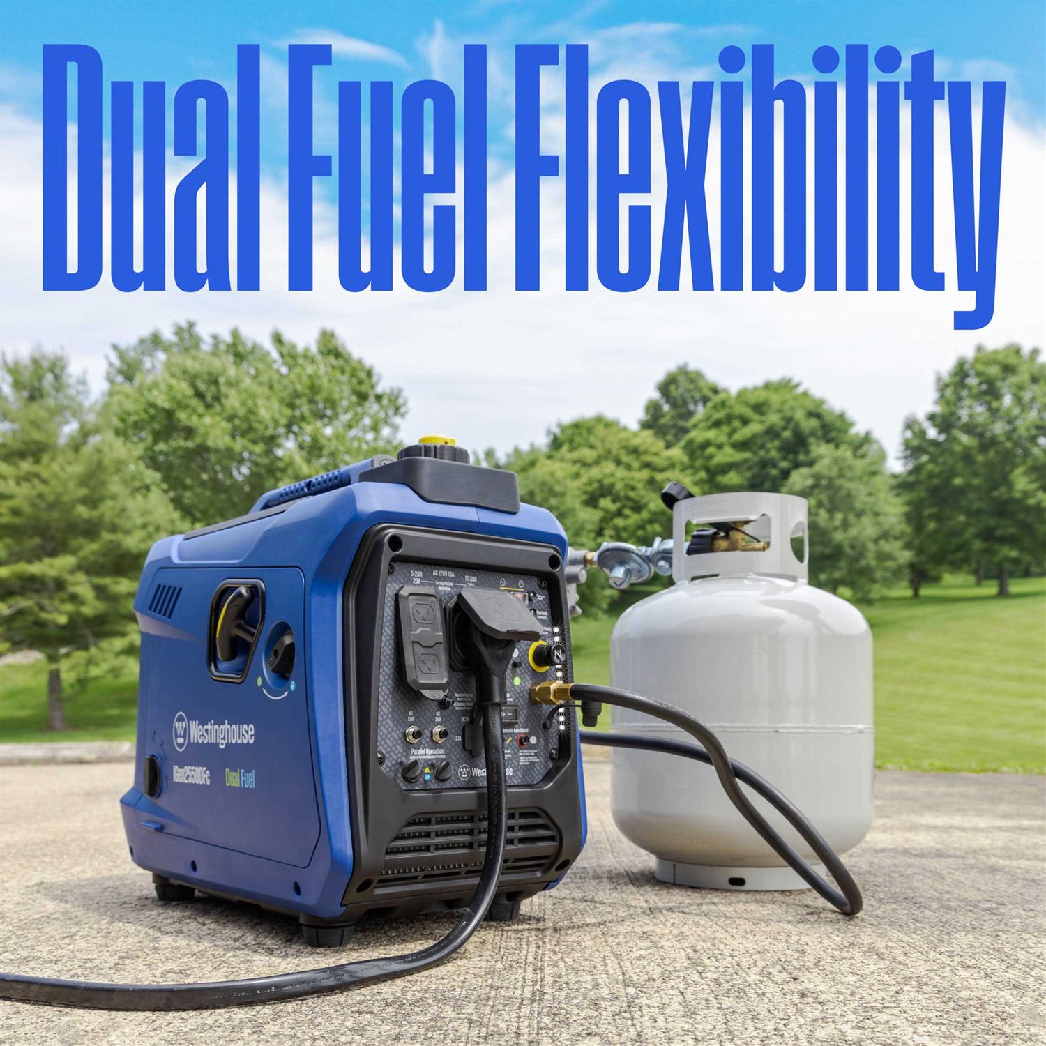 2550 Watt Dual Fuel Portable Inverter Generator V307