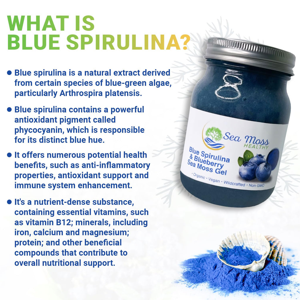 Blue Spirulina Blueberry Sea Moss Gel, 16 oz J657023