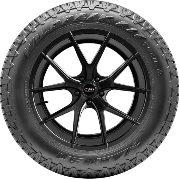 215/65R17 99H All Terrain Tire G6175
