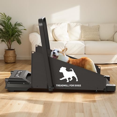 Dog Treadmill, Exercise Equipment, Up to 220lbs, Low Noise Z275736